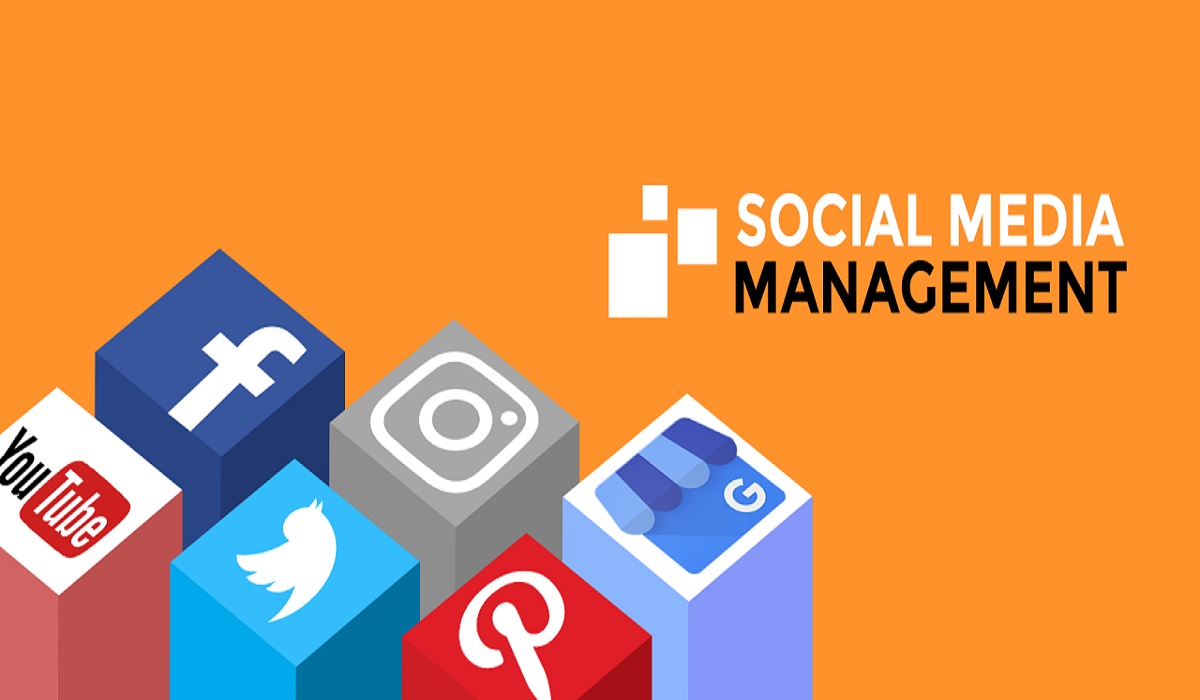 social media management companies, social media management, social media management agency, brandezza, digital marketing, Social Media Promotion Company