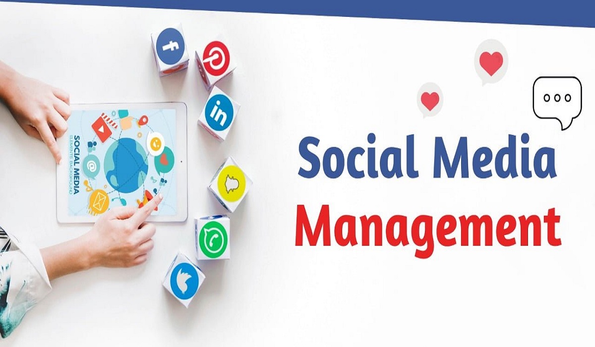 social media management service, brandezza, digital marketing, social media management